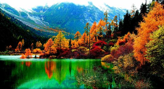 毕棚沟金秋彩林