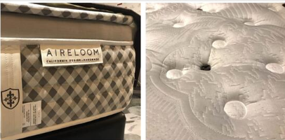 金可儿亮相“2017中国酒店品牌高峰论坛”