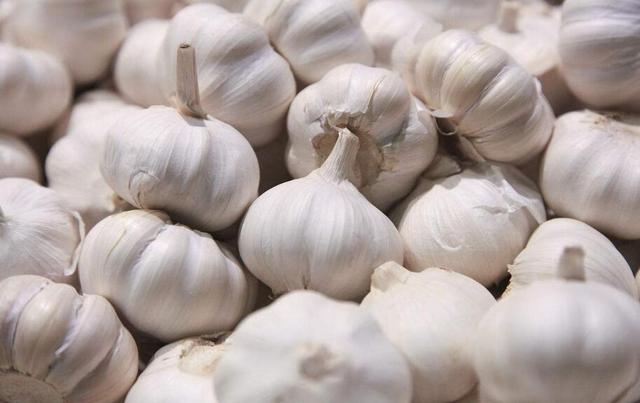 大蒜含天然杀菌物质 但这五类人要慎吃