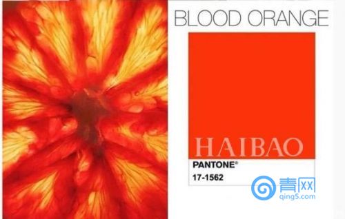 最潮最夯的家居设计你怎么能少？