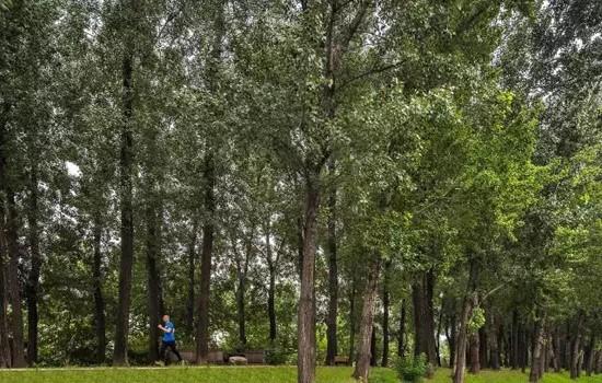 2017京城别墅产品黑马杀出 金科天玺耀世登场