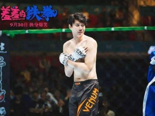 《羞羞的铁拳》票房或超20亿 但“麻花模式”难撑百亿市值