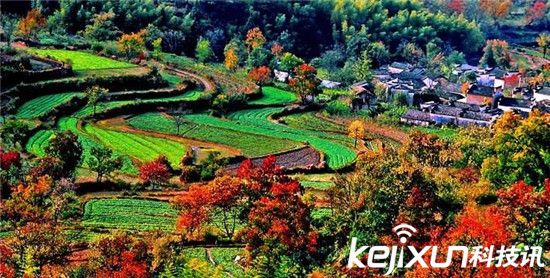 冬天国内游去黄山 这十个景点不能错过